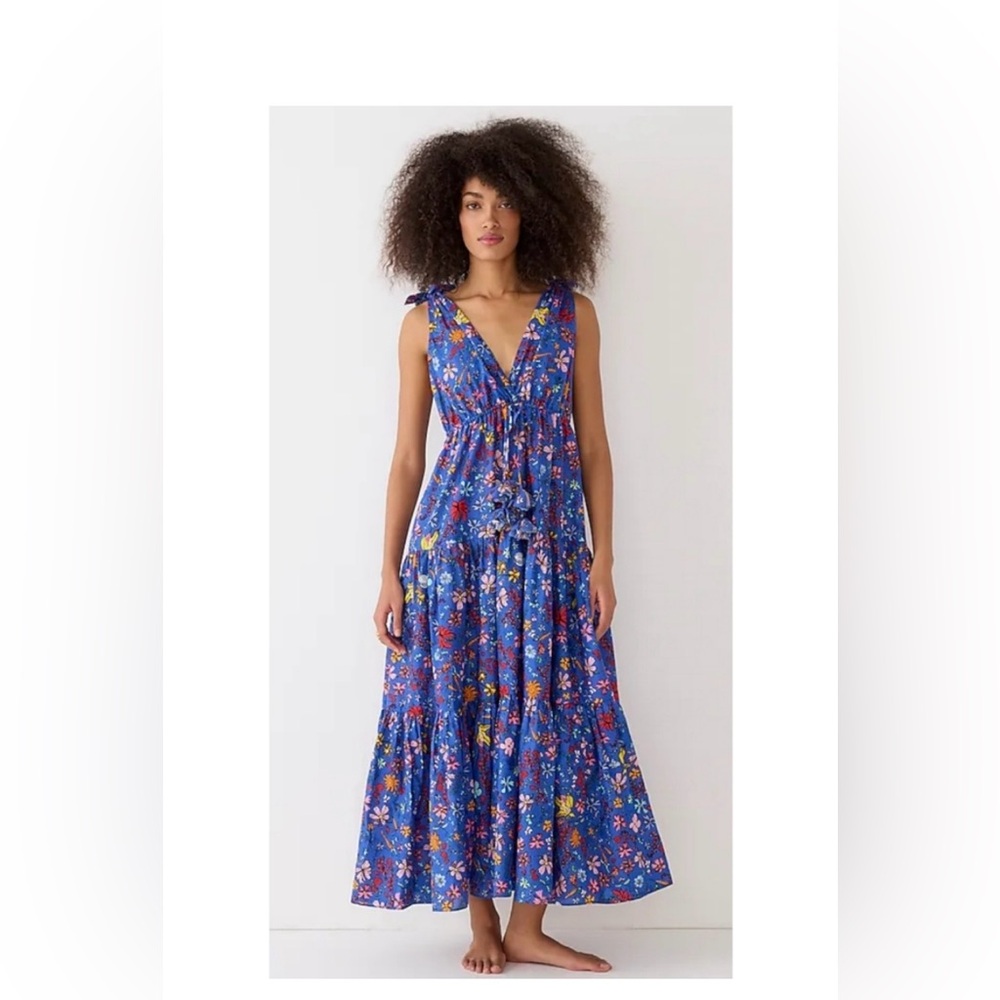 NWT Dauphinette Floral Dress by J Crew M